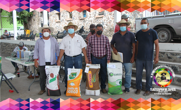 H. AYUNTAMIENTO CONTINÚA PROGRAMA DE APOYO A CULTIVOS AGRÍCOLAS DE MAÍZ Y SORGO, EN LA COMUNIDAD DE BARRANCA HONDA.